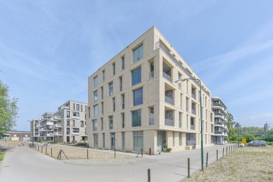 homes for rent on Appartement Tussenbusstraat 178